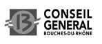 cg13
