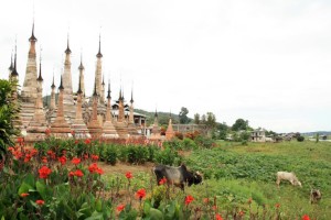Takkhaung Mwedaw - Sagar - Birmanie