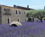 MUSEE DE LA LAVANDE