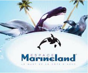 MARINELAND INTERNET