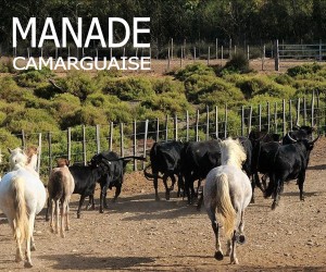 SITE MANADE CAMARGUAISE